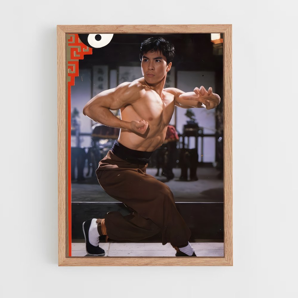 Poster Bruce Wong's Kung Fu (vue 4)